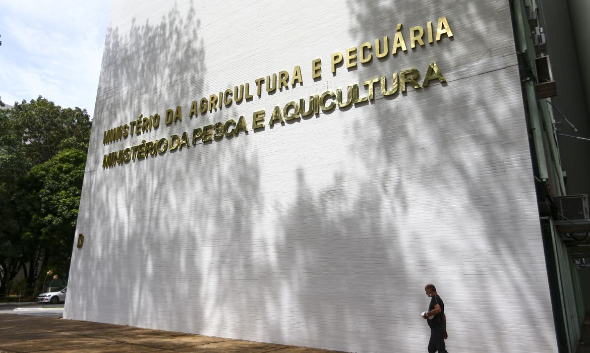 Foto: Jornal de Brasília