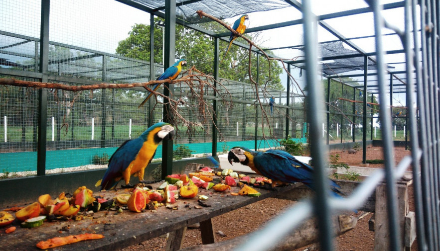 Foto: Governo do Tocantins