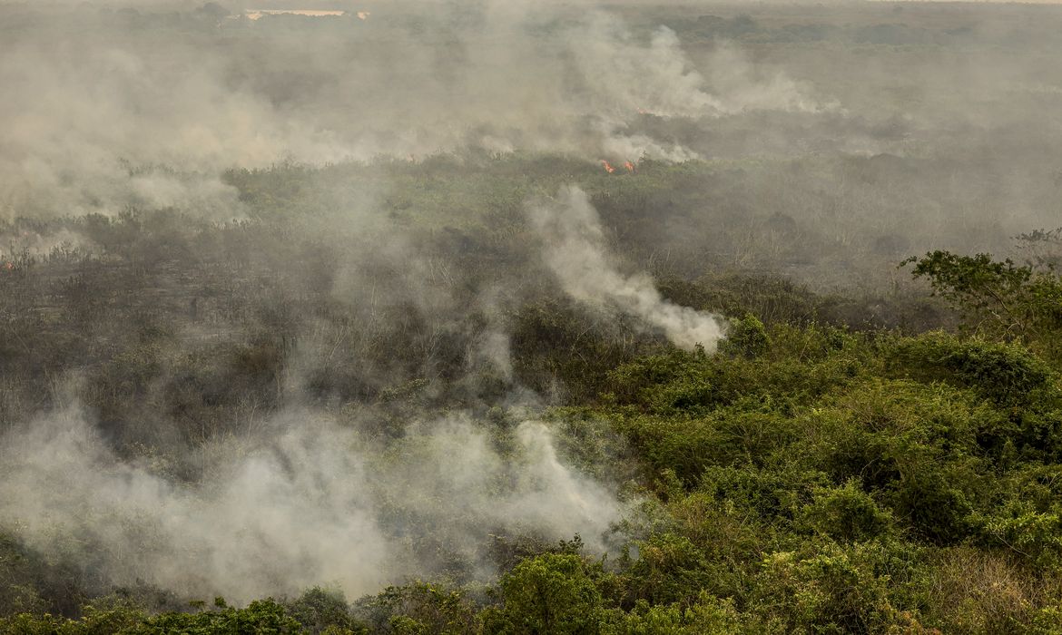 Foto: Agência Brasil - EBC