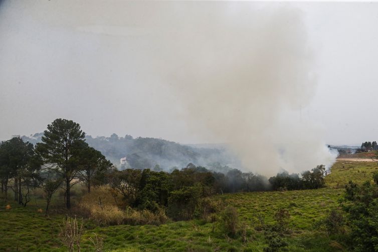 Foto: Jornal Metropolitano SP