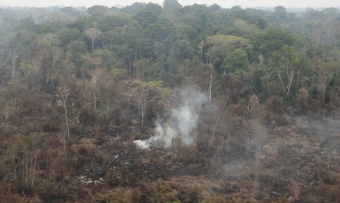 Foto: Agência Brasil - EBC