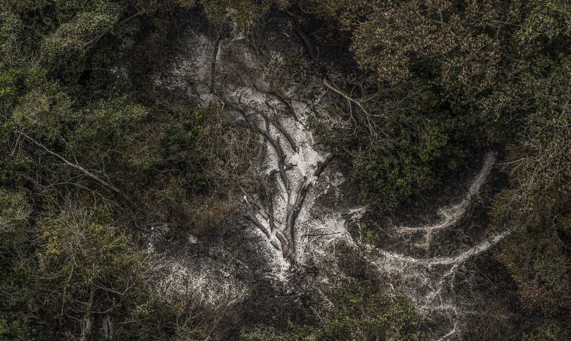 Foto: Agência Brasil - EBC