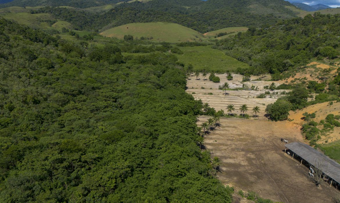 Foto: Agência Brasil - EBC