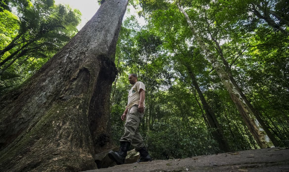 Foto: Agência Brasil - EBC